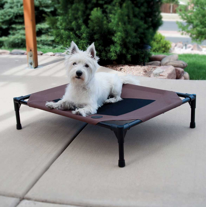 PLACE Cot The Academy for Canine Behavior and Training