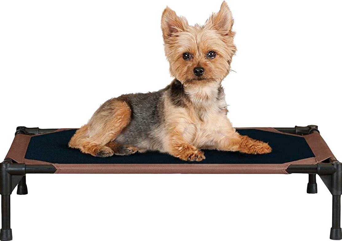 PLACE Cot The Academy for Canine Behavior and Training