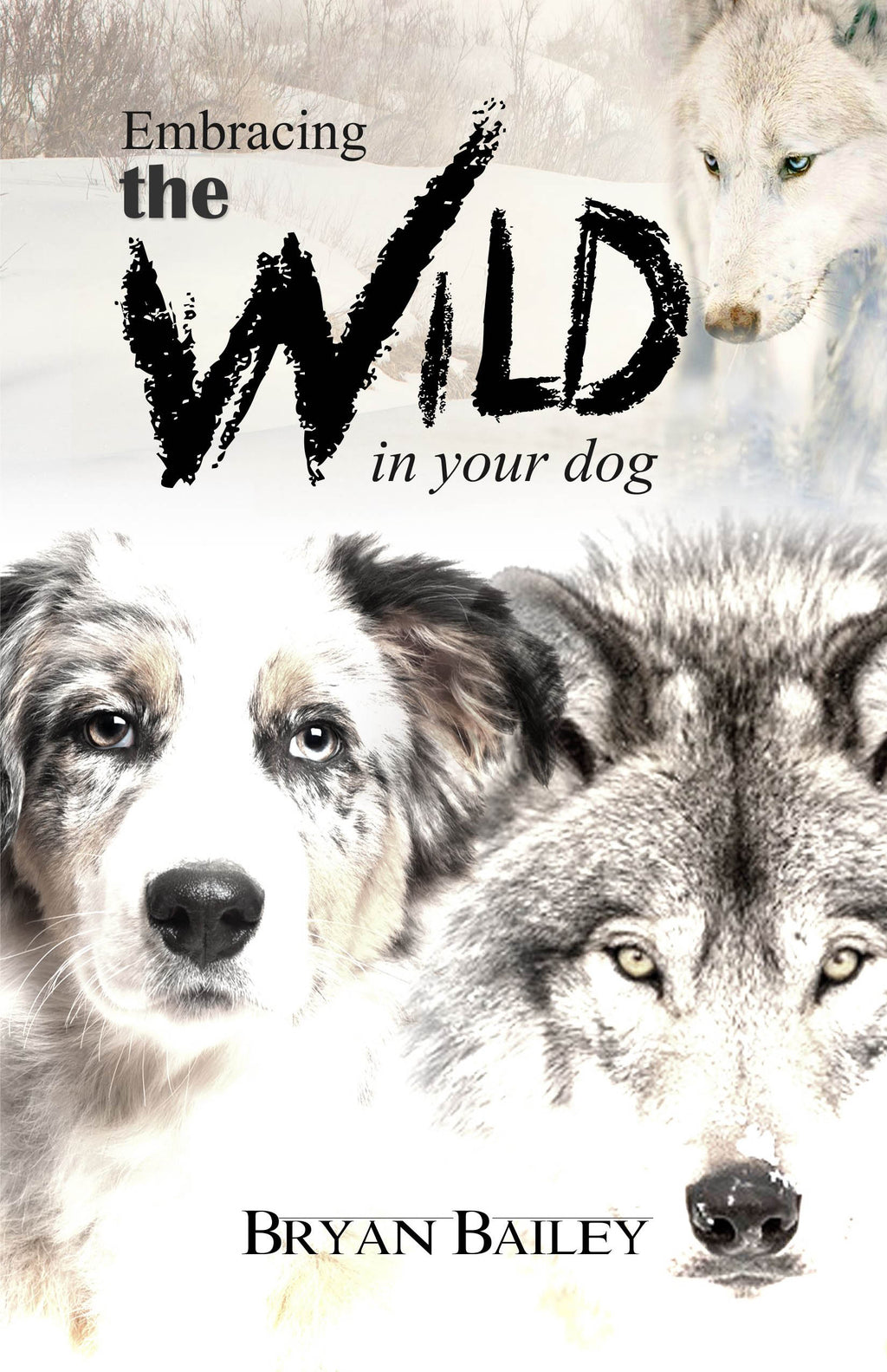 Embracing the Wild in Your Dog