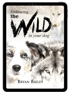 Embracing the Wild in Your Dog