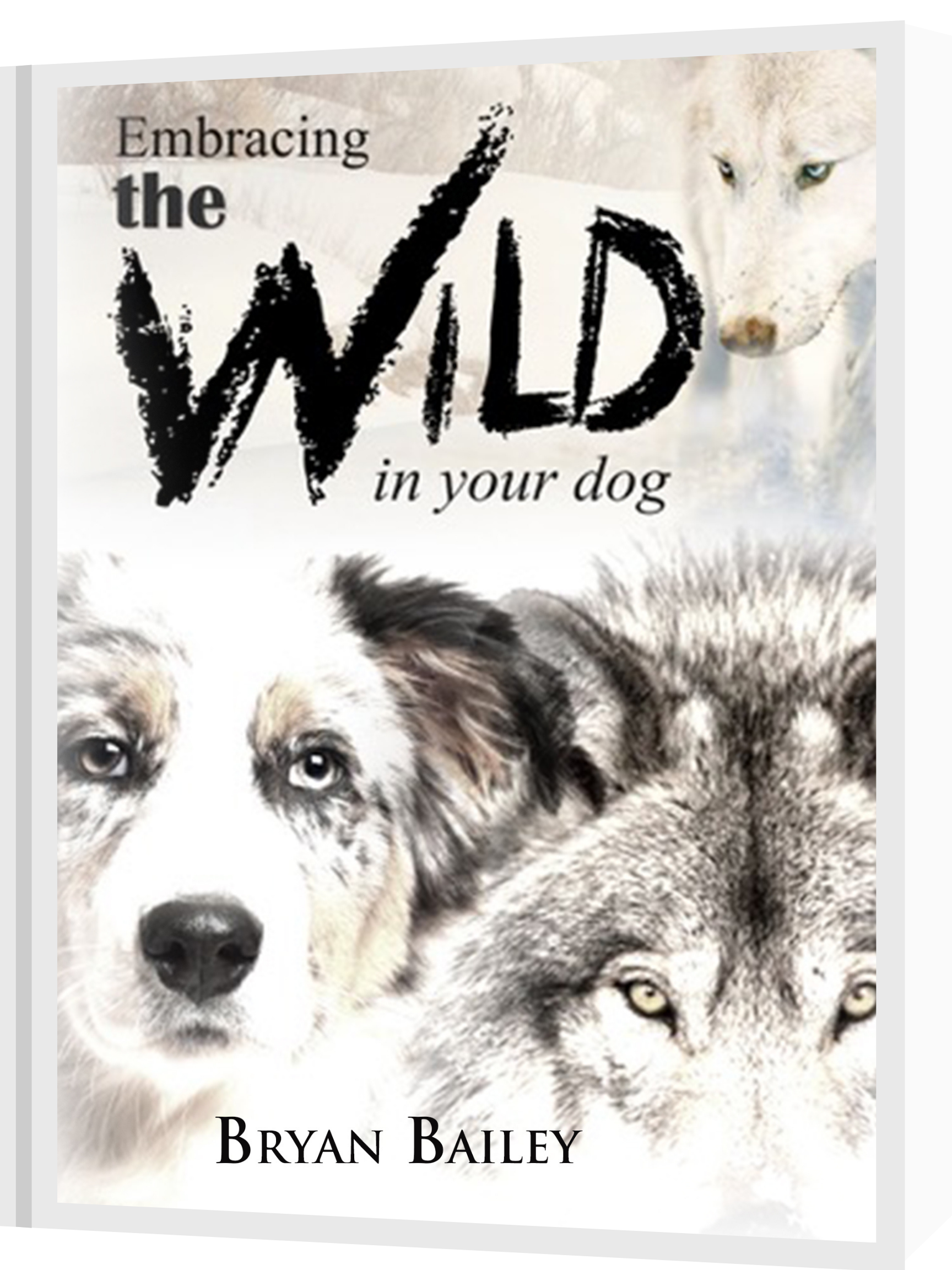 Embracing the Wild in Your Dog