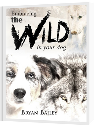 Embracing the Wild in Your Dog